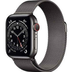 Apple Watch 6 GPS+Cellular 40mm Stainless Steel Case with Milanese Loop Band